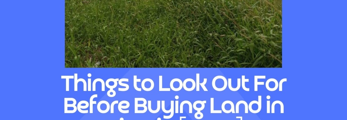 Things to Look Out For Before Buying Land in Nigeria [2024]